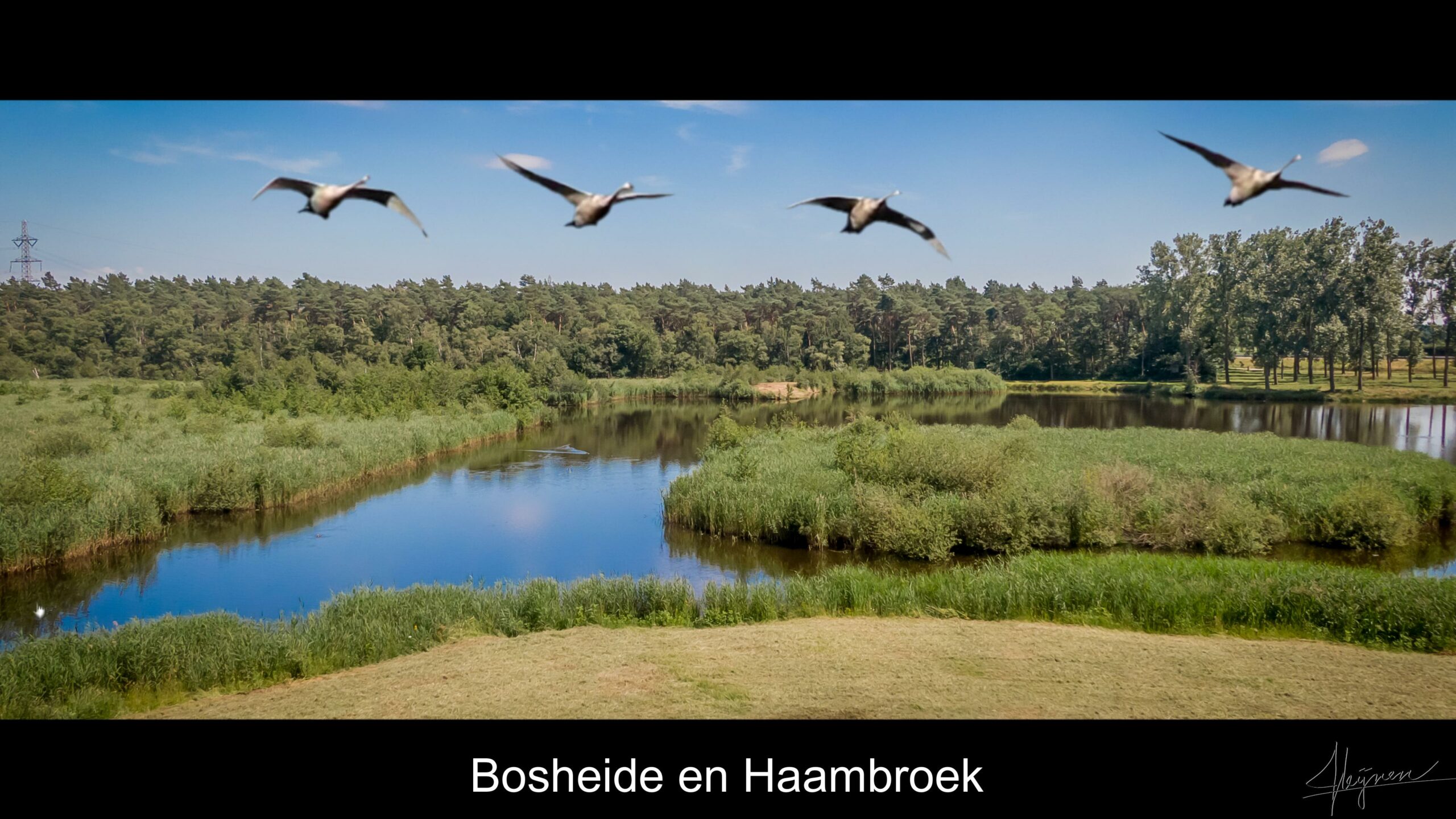 Thumbnail Haambroek
