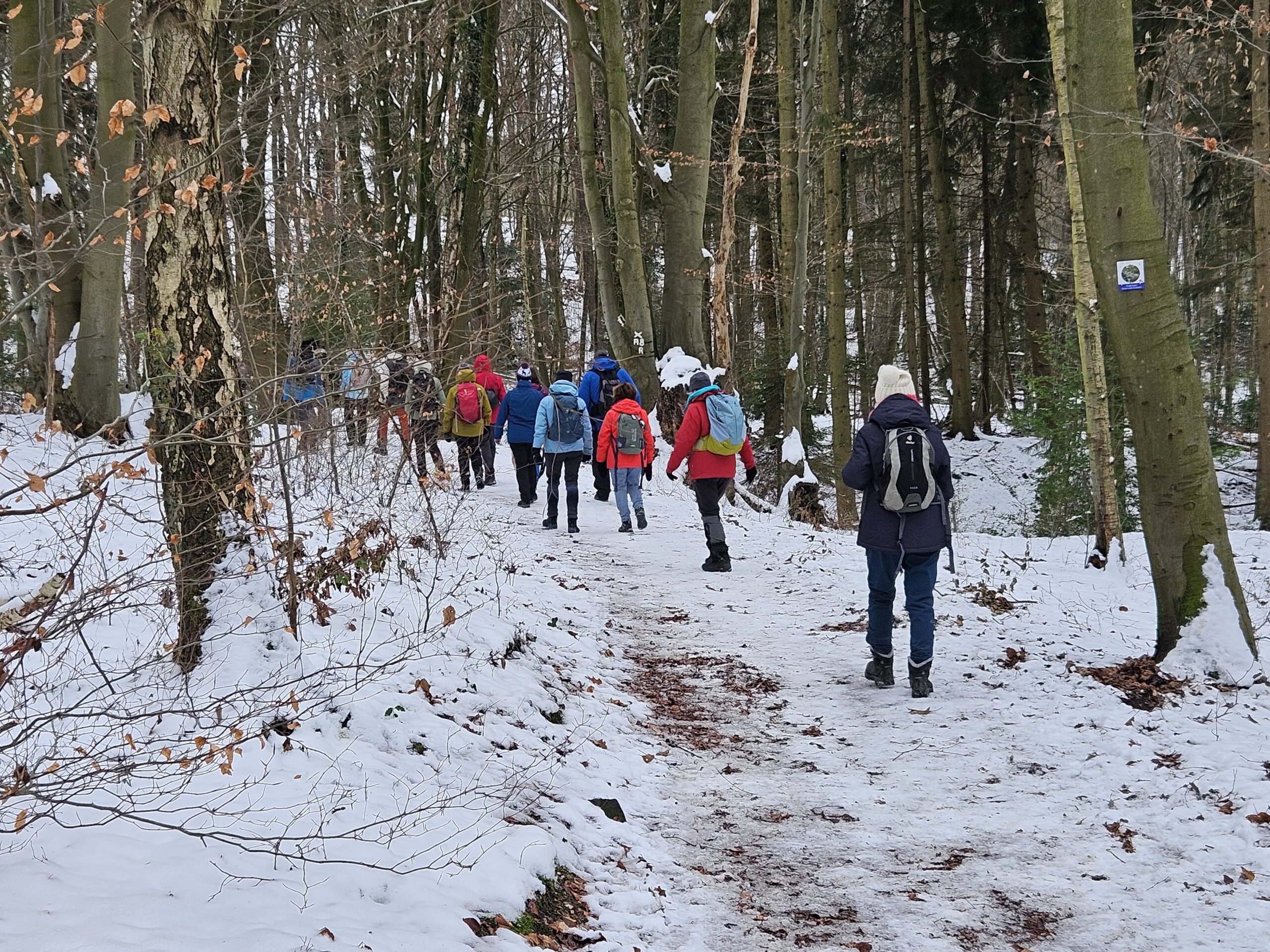 Wanderweg Naturwaldschleif Karin