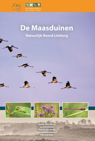 Maasduinen